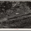 Old hog watering trough along side the road near Lowell, Vermont.