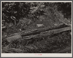 Old hog watering trough along side the road near Lowell, Vermont.