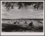 Vermont farm scene.