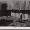 Lloyd Kramer farm. Northampton Farms site. Farmville [i.e. Farmersville], Pennsylvania.
