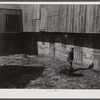 Lloyd Kramer farm. Northampton Farms site. Farmville [i.e. Farmersville], Pennsylvania.