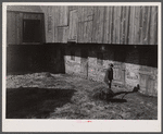 Lloyd Kramer farm. Northampton Farms site. Farmville [i.e. Farmersville], Pennsylvania.