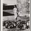 Mrs. Thornton feeds the chickens bought with Farm Security Administration loan. Story County, Iowa.