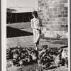 Mrs. Thornton feeds the chickens bought with Farm Security Administration loan. Story County, Iowa.
