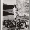 Mrs. Thornton feeds the chickens bought with Farm Security Administration loan. Story County, Iowa.