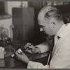 Dr. E.B. Lambert, mushroom specialist, U.S. Department of Agriculture, examines mushrooms grown on artificial compost at Arlington Experimental Farm.