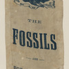 [John Bell campaign ribbon]