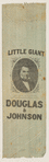 [Stephen A. Douglas campaign ribbon]
