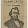 [Stephen A. Douglas campaign ribbon]