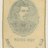 [McClellan 1864 campaign ribbons]