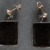 [Theodore Roosevelt earrings]
