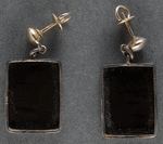 [Theodore Roosevelt earrings]