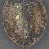 [Lincoln 1860 button]