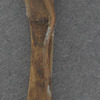 [Lincoln 1860 pin]