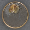 [Douglas-Johnson pin]