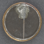 [Breckinridge-Lane pin]