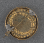 [McClellan pin]