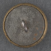 [Grant-Colfax button]