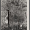 Corbin Hollow ruins, Blue Ridge Mountains, Virginia.