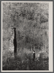 Corbin Hollow ruins, Blue Ridge Mountains, Virginia.