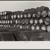 Oil, Lincoln, Nebraska.