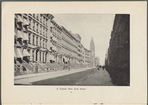 The Tree Planting Association of New York City