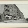 East Thirty-Ninth Street: an entire block planted by the Tenement Shade Tree Committee
