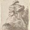 Old Bearded Man Facing Left