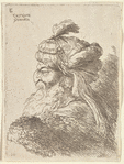 Old Bearded Man Facing Left