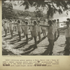 All Union Pioneers at "Artek" camp.  Morning Exercises