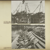 Children's travel from Khimkinskii Port to Moscow for 40 days on Volga River.  Pioneers at Leningrad Palace Camp on Kirov Lake.