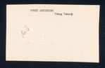 Morey Amsterdam