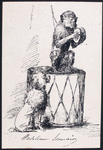 Animals as Actors : Circus : Monkeys