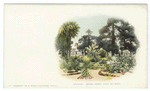 Arizona Gardens, Hotel Del Monte, Monterey, Calif.