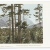 Crawford House, White Mountains, White Mountains, N. H.