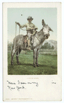 A Rough Rider, Burro