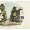 Avenue of Palms, Los Angels, Calif.