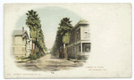 Avenue of Palms, Los Angels, Calif.
