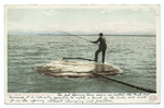 Fish Pot, Hot Springs, Yellowstone Park