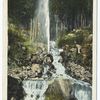 Shasta Springs Geyser, Mt. Shasta, Calif.