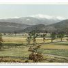 Mt. Washington from Intervale, White Mountains, N. H.