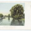 Lake in Public Gardens, Boston, Mass.