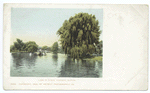 Lake in Public Gardens, Boston, Mass.