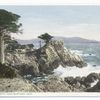 Midway Point  on 17 Mile Drive, Montrey, Calif.