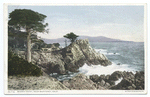 Midway Point  on 17 Mile Drive, Montrey, Calif.