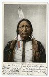 Buckskin Charlie, Sub Chief of the Utes, Indian