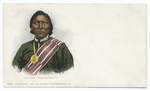 Ute Chief Tarboocheket, Indian
