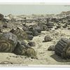 Petrified Forest, near Adamana, Arizona.