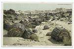 Petrified Forest, near Adamana, Arizona.