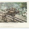 I helped build Pikes Peak Railway burro.